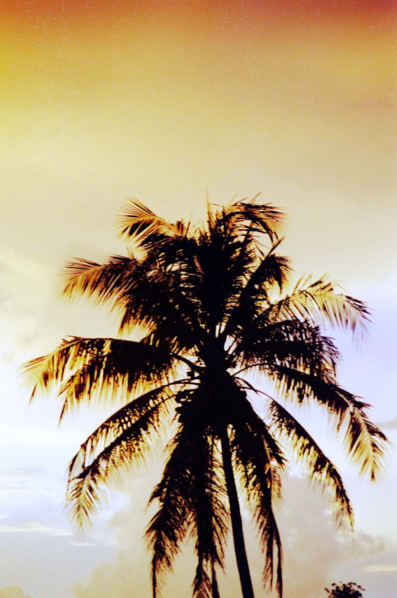 Untitled (Silhouette) by Daniele Tamagni Foundation 