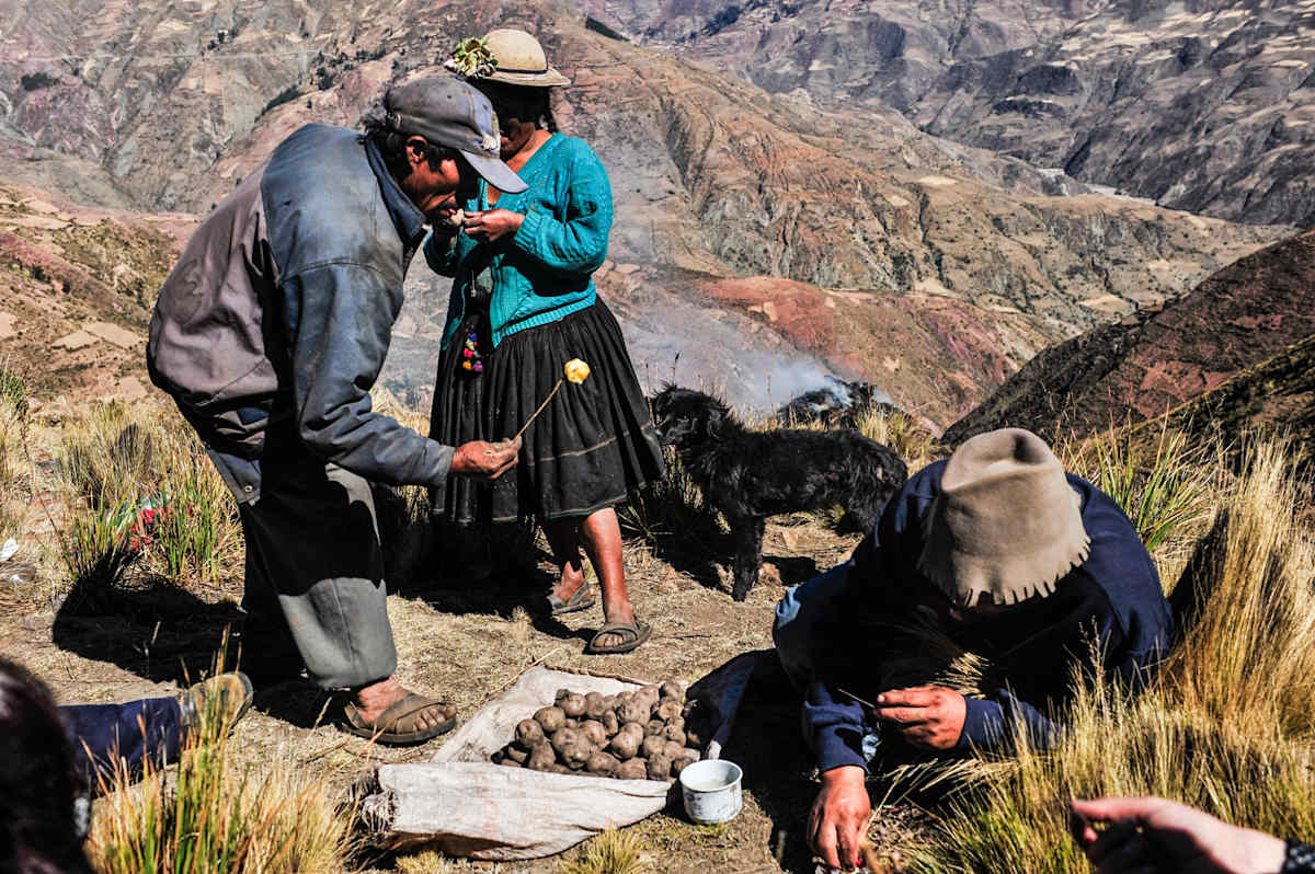 Untitled (Potatoes #1) by Daniele Tamagni Foundation 