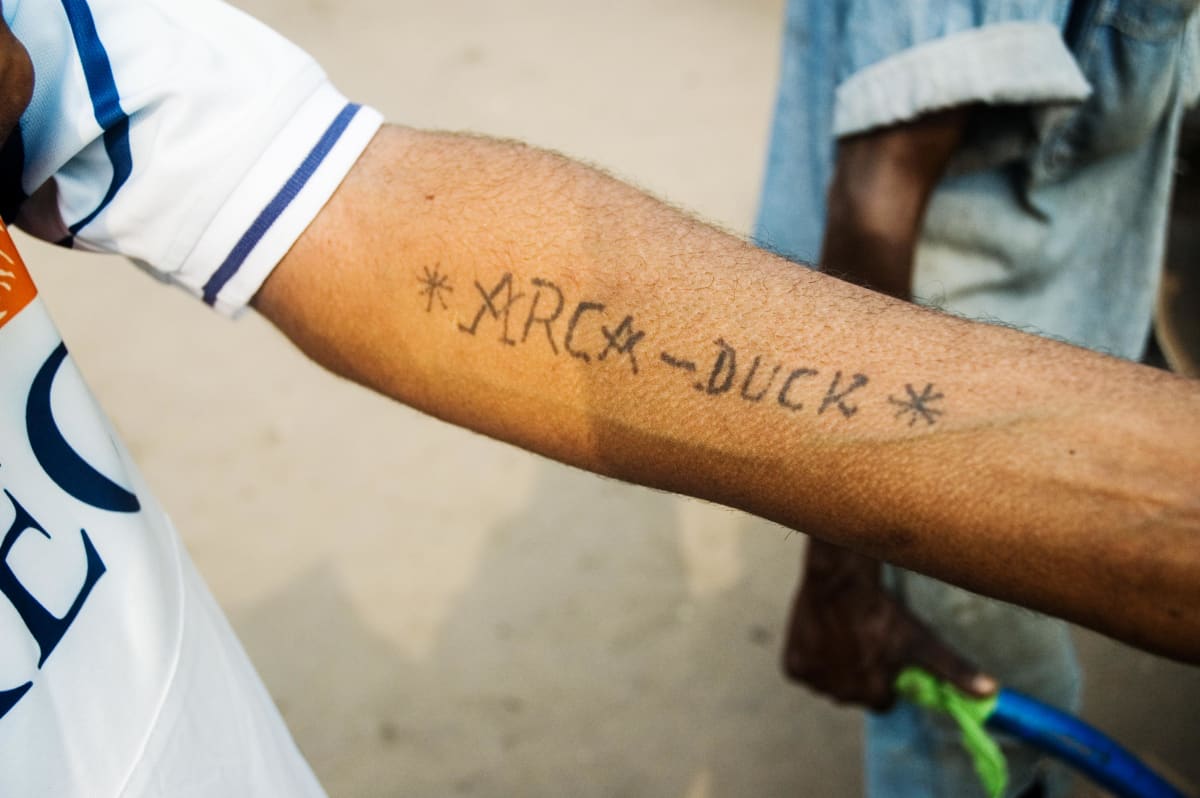 Untitled (Arca Duck), Image 1.