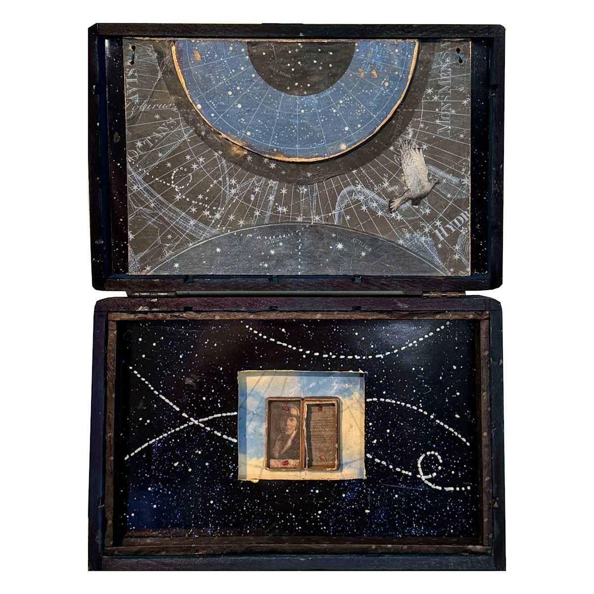 Amelia by Graceann Warn 