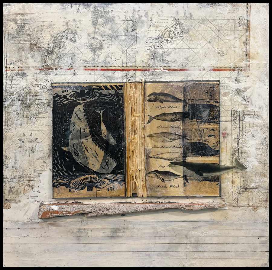 Cetacea by Graceann Warn 