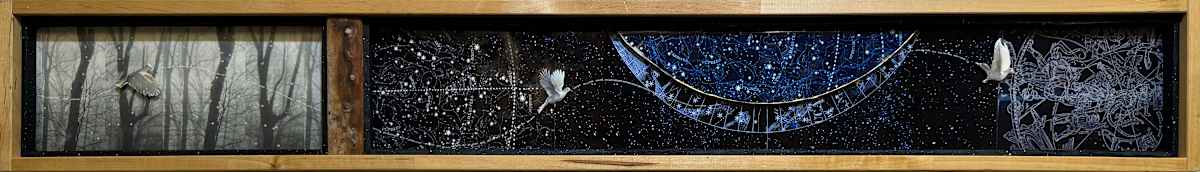 Flight Plan by Graceann Warn 