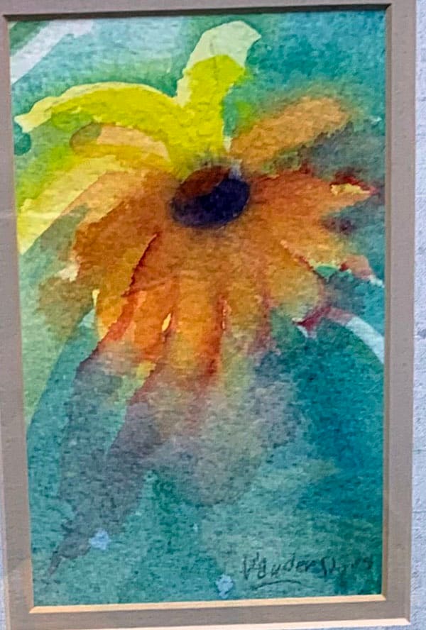 SUNFLOWER AND COLOR 