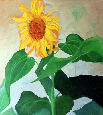 LOOKING FOR THE LIGHT, Image 1.