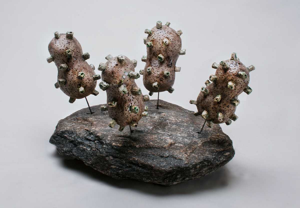 Tuberosum, Image 10.
