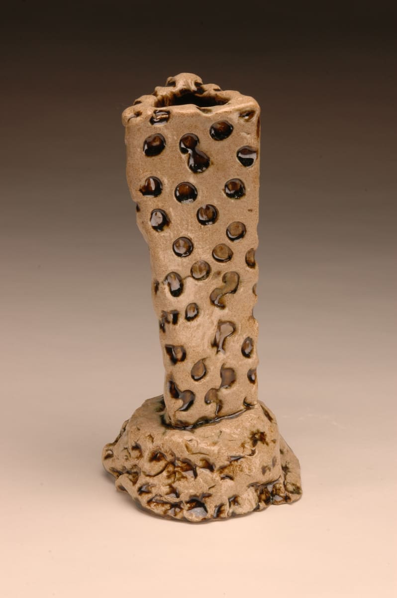 Triangle Leopard Vase by Bill Cohn 