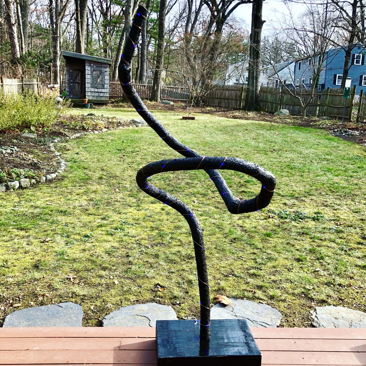 Black Vine by Bill Cohn 