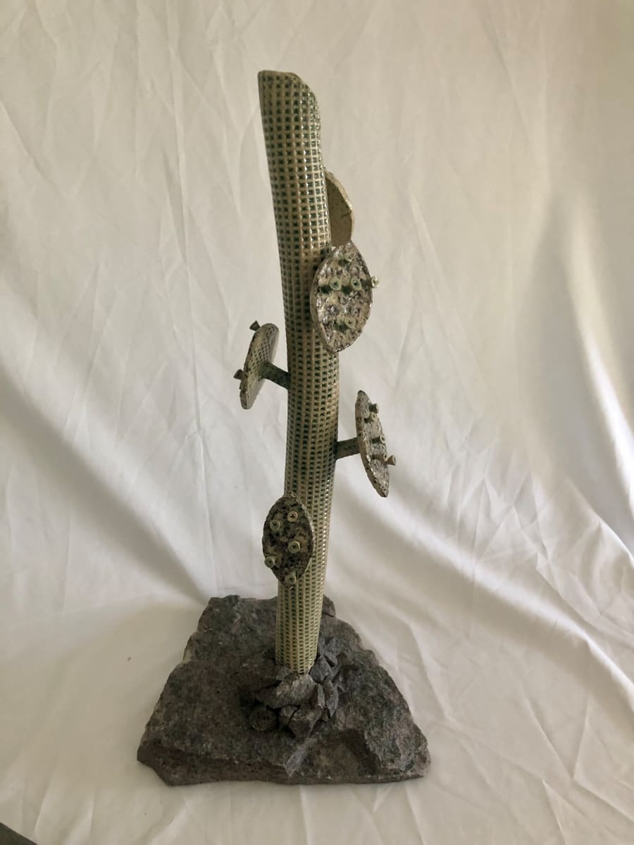 Cell tower by Bill Cohn 