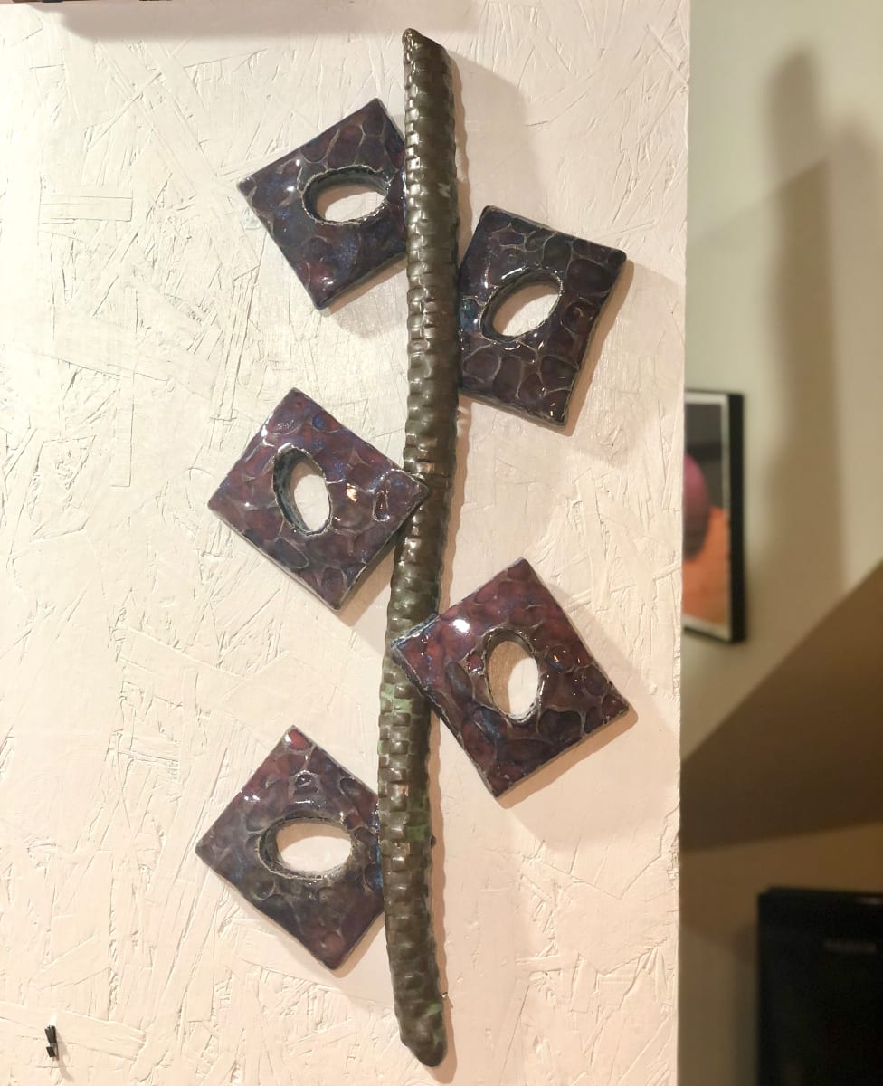 Pericarpal Vine by Bill Cohn 