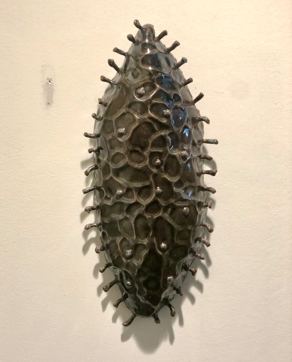 Monoexocarp (wall piece) by Bill Cohn 