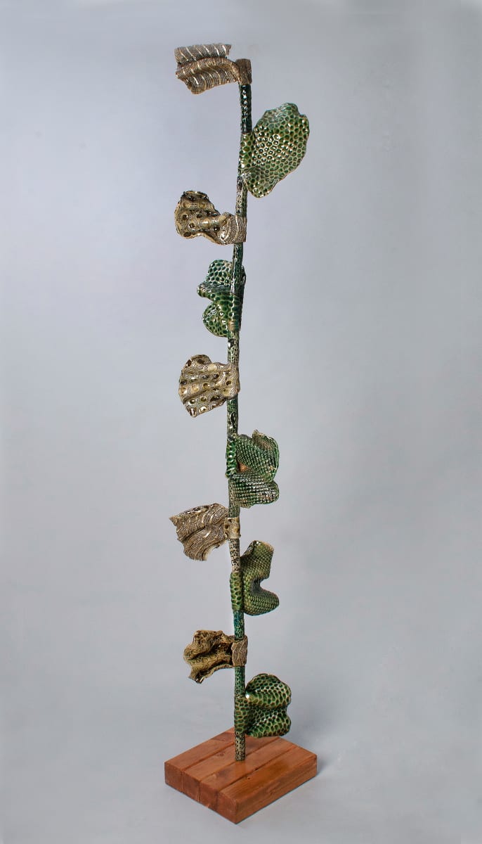 Enterolobium Cairn #1 by Bill Cohn  Image: Full view