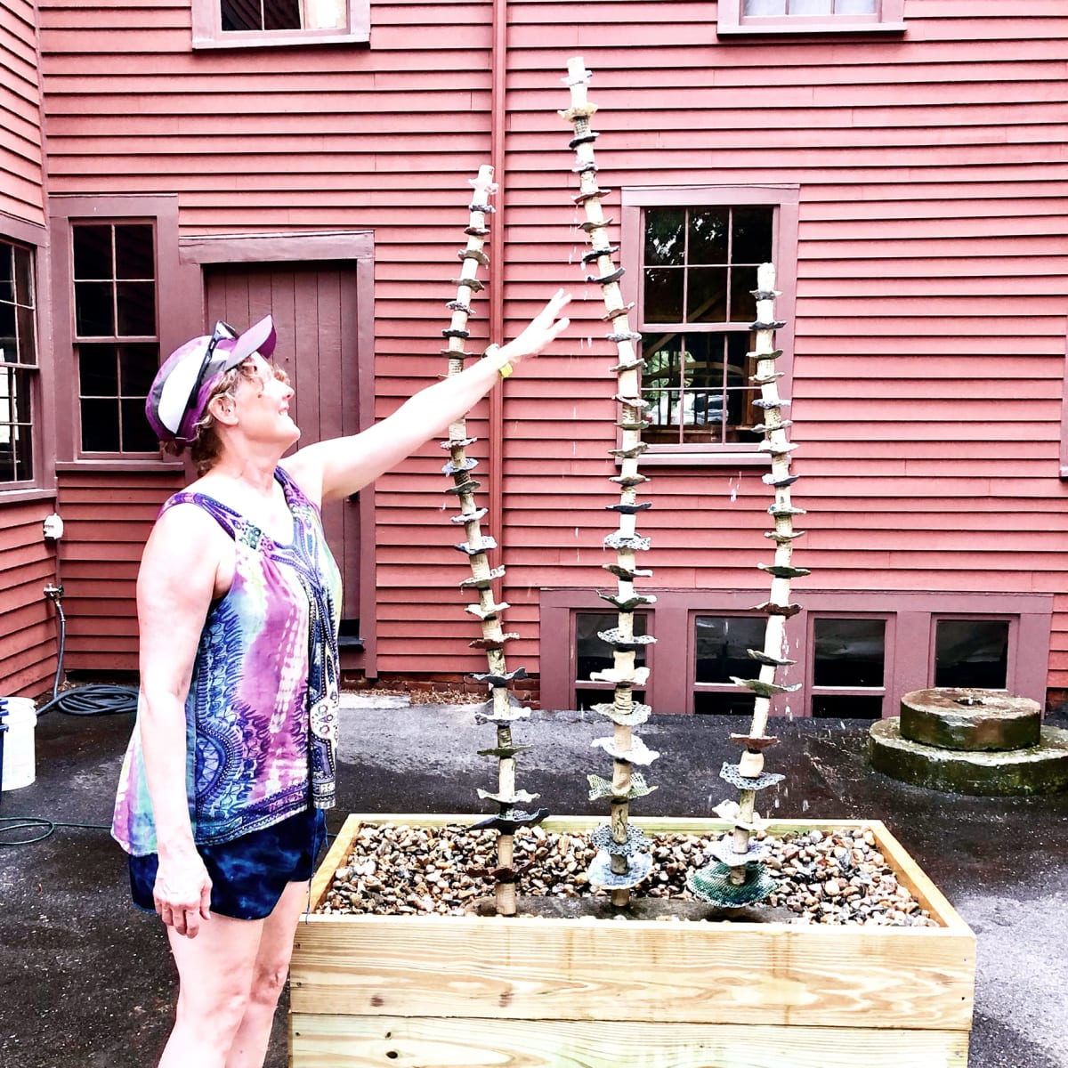 Hydrophyte by Bill Cohn 