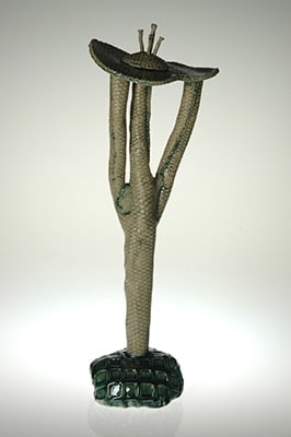 Cactus Hat by Bill Cohn 