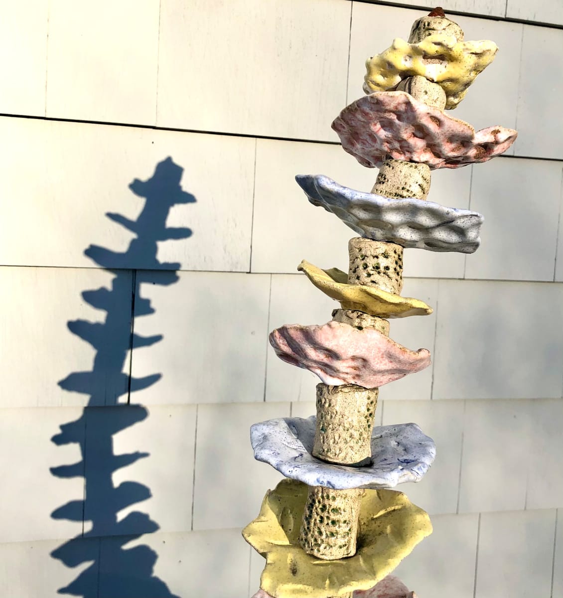 Rock Acanthus by Bill Cohn 