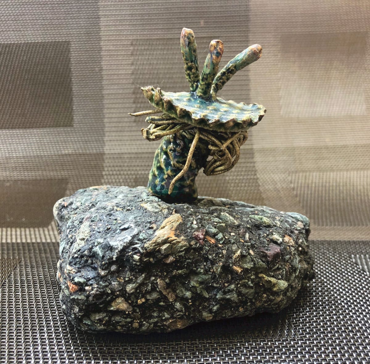 Mushroom Conglomerate by Bill Cohn 