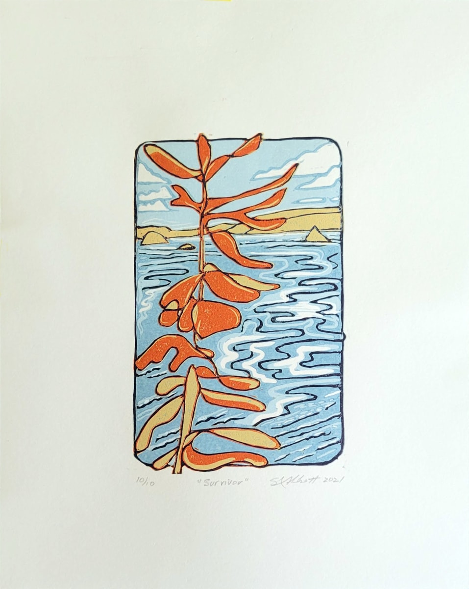Survivor 10/10, Image 1.
