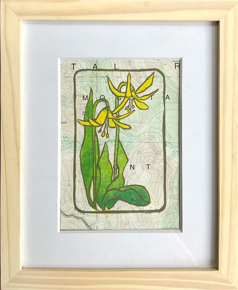Glacier Lilies 5/13 by Susan G Abbott, Image 1.