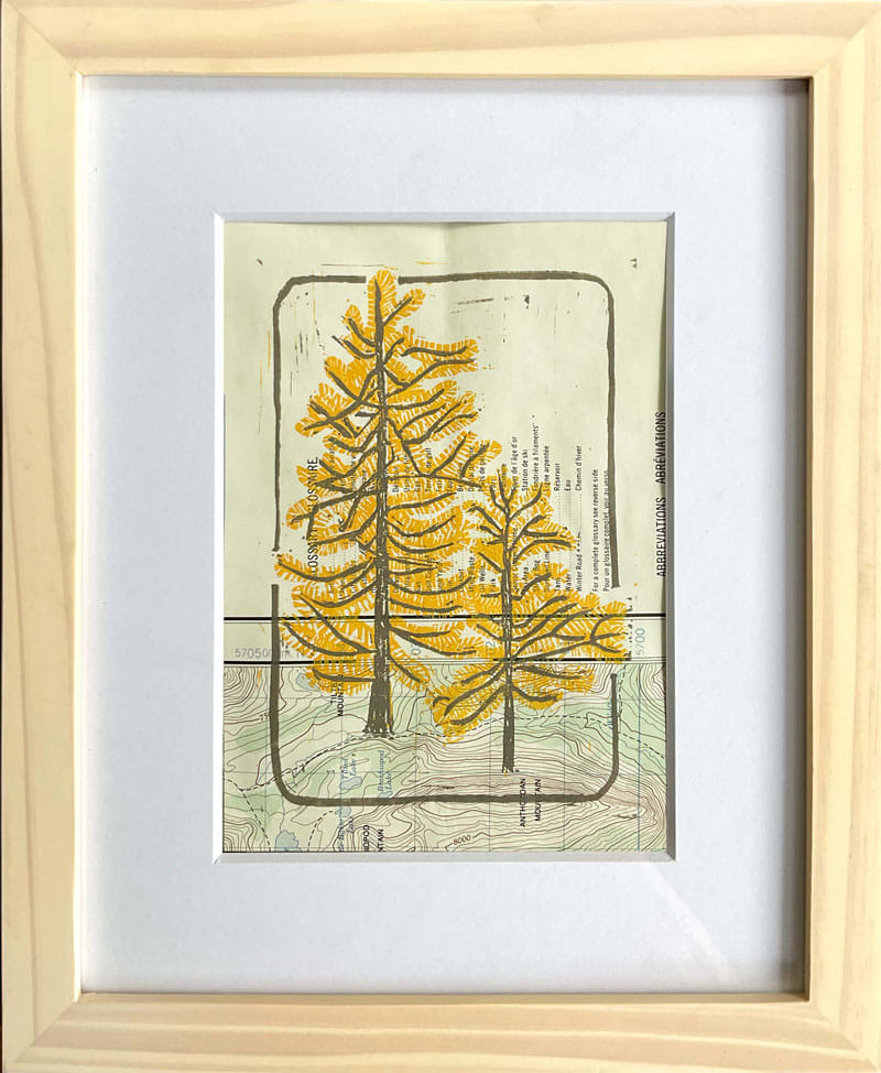 Larches 1 by Susan G Abbott, Image 1.