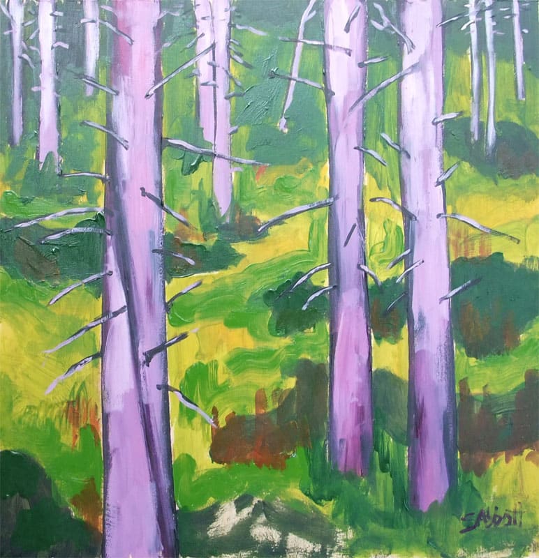 Sunlight in Cedars, Image 1.