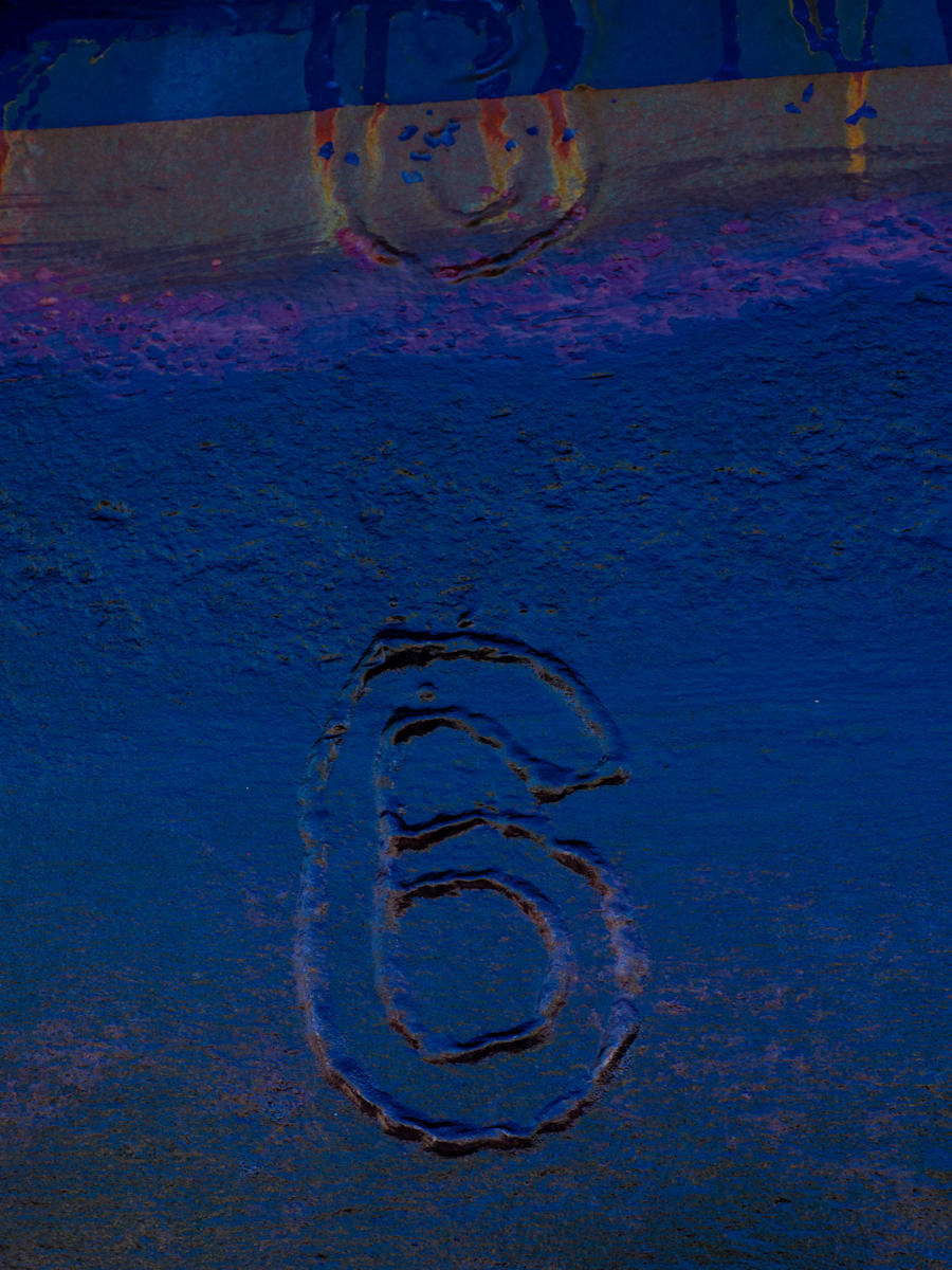 Two eels counting six, Image 1.