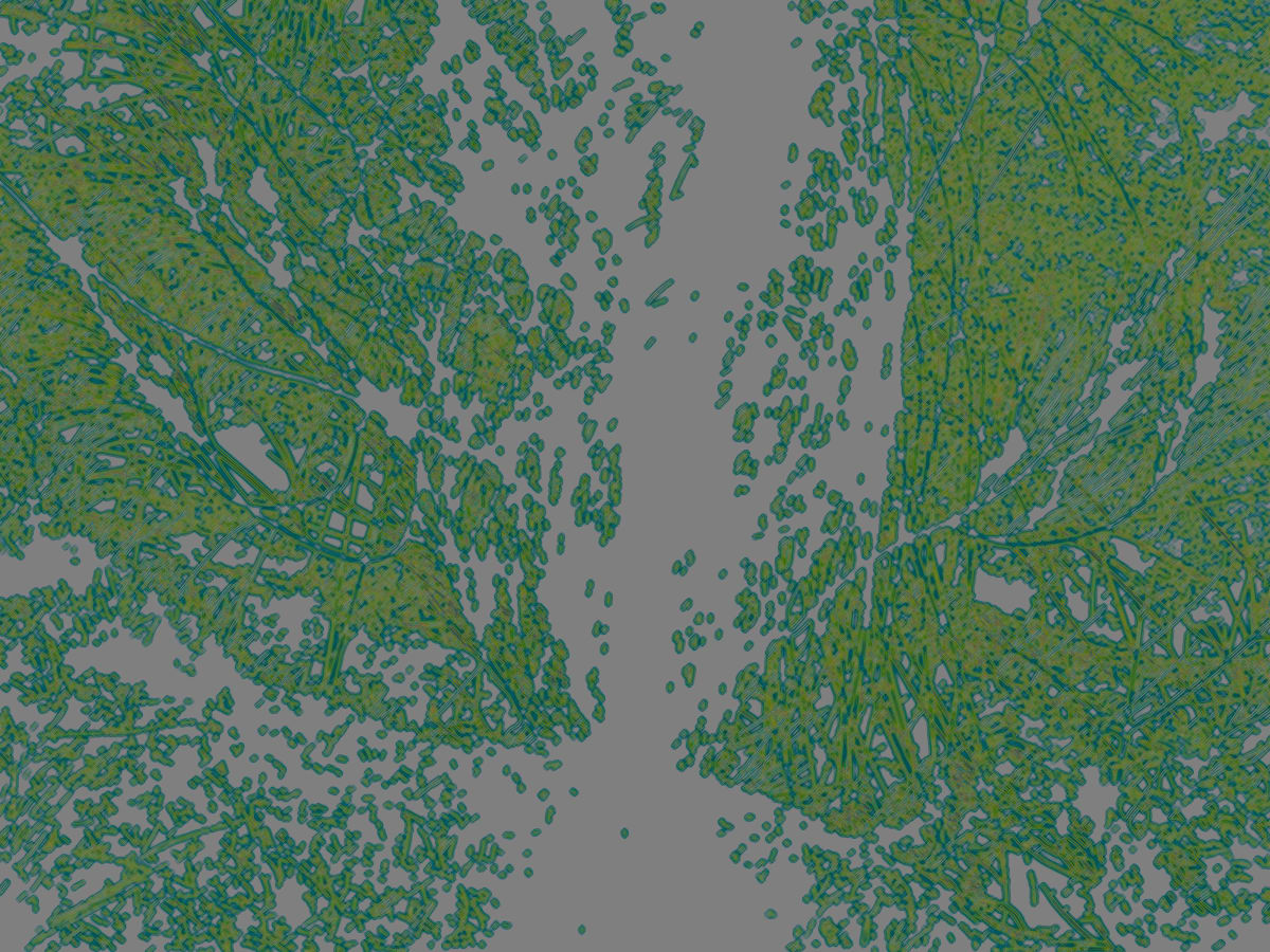 Delta Life, Image 1.