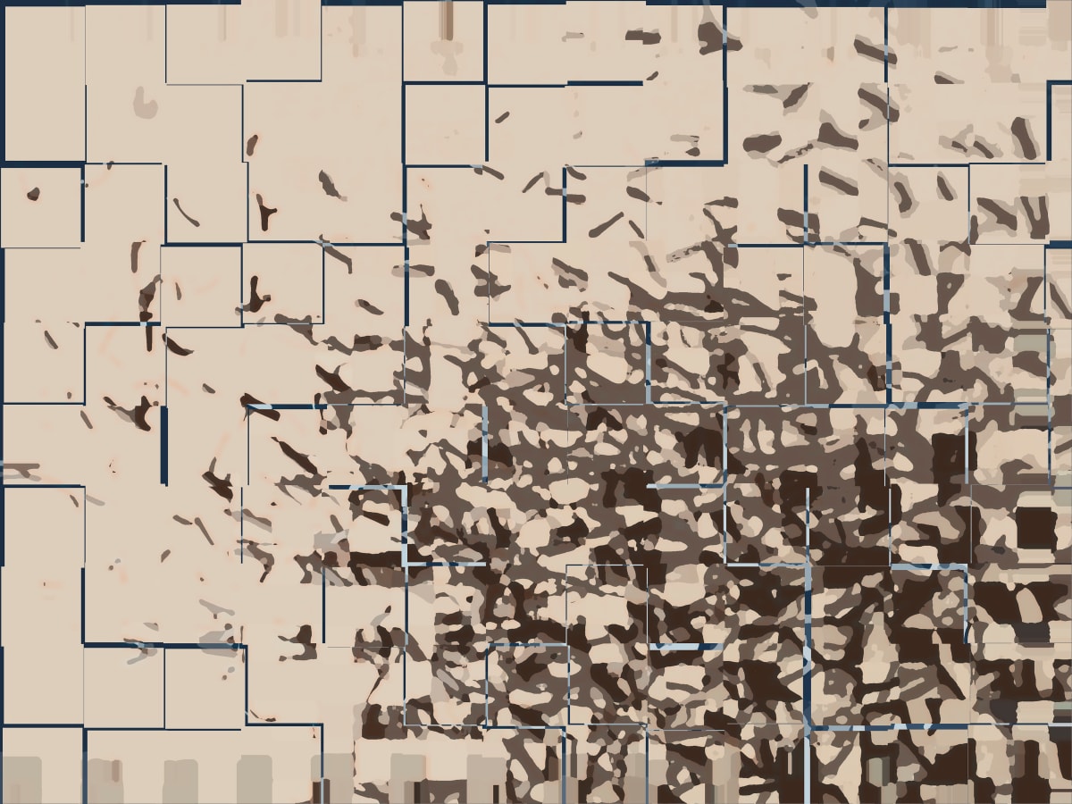 The Flock takes off., Image 1.