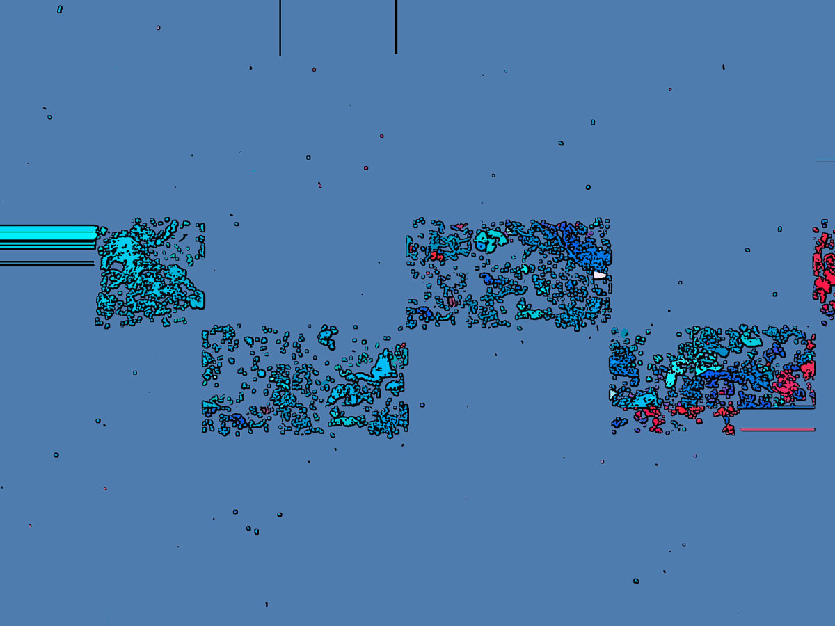 Jewels, Image 1.