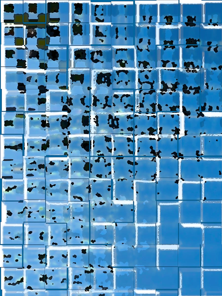 Flock, Image 1.