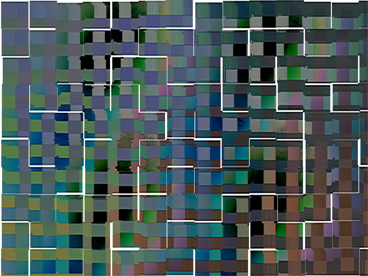Green Hedge, Image 1.