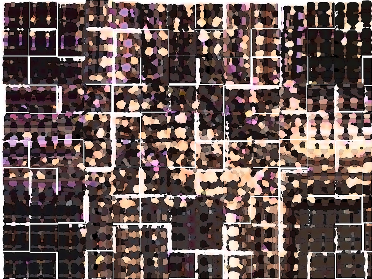 Purple Prince, Image 1.
