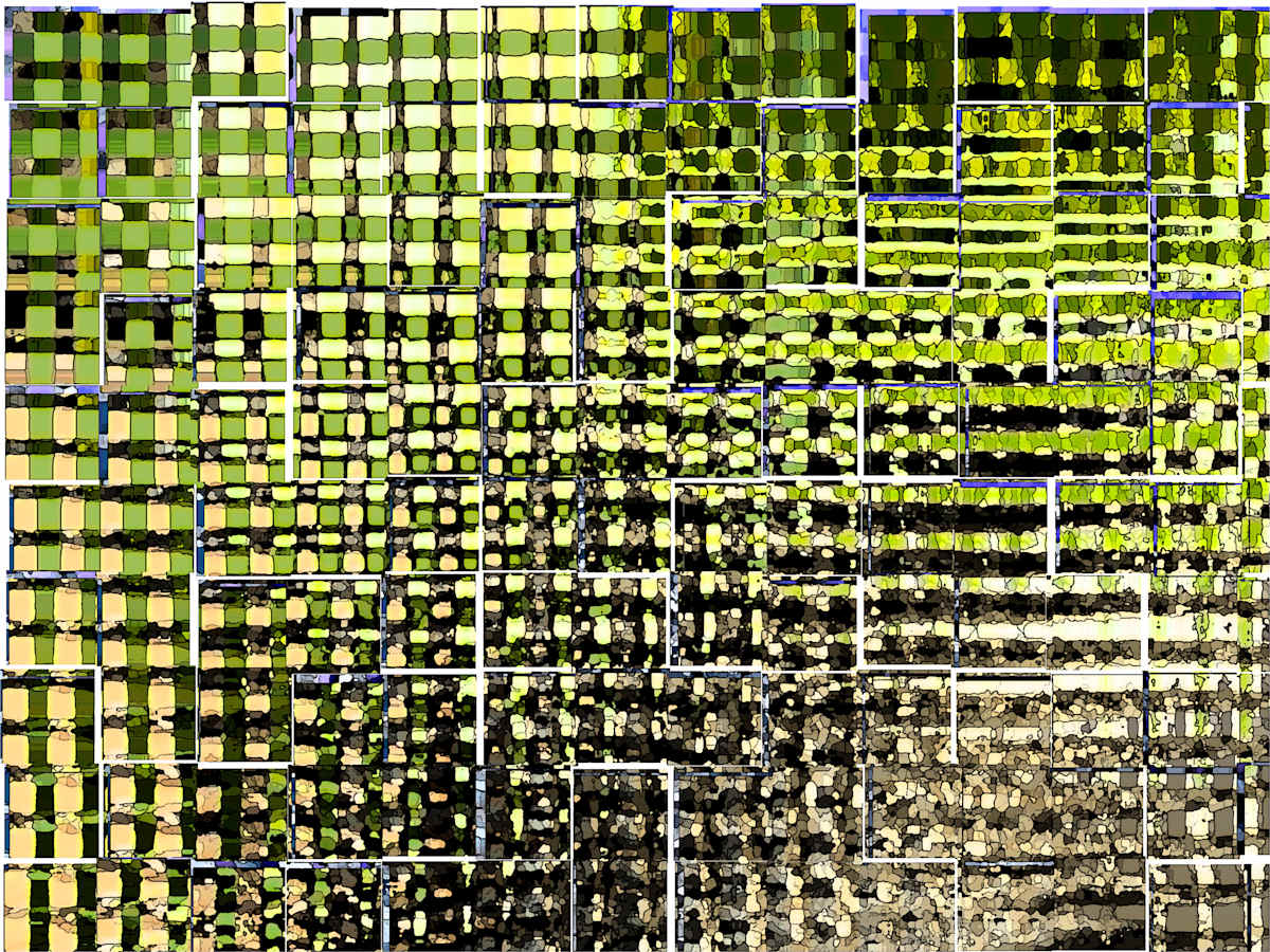 The Magic Forest, Image 1.