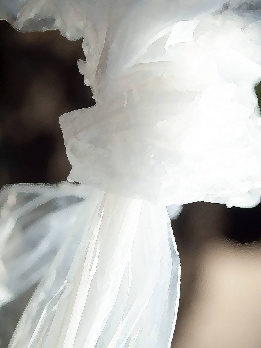 Definitely Knot, Image 1.