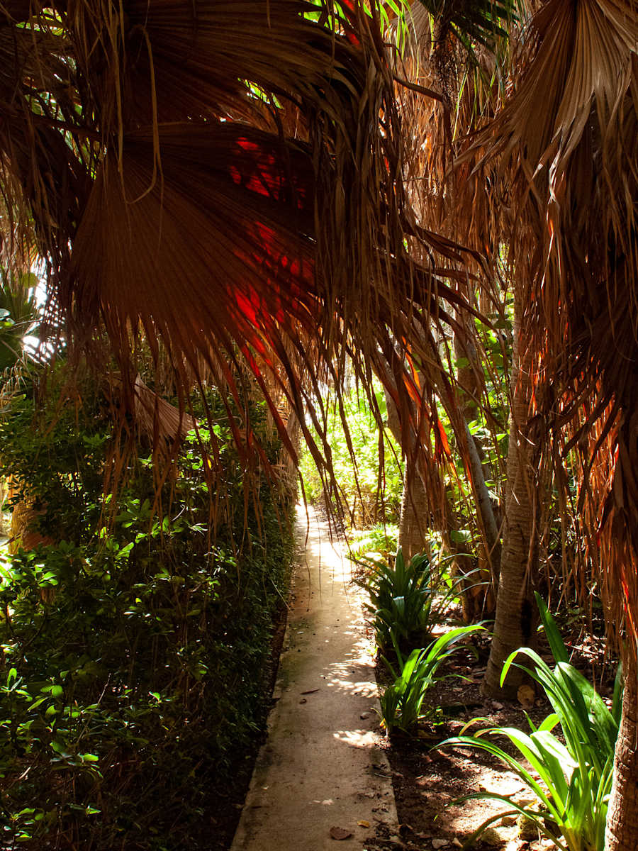 Down the Garden path., Image 1.