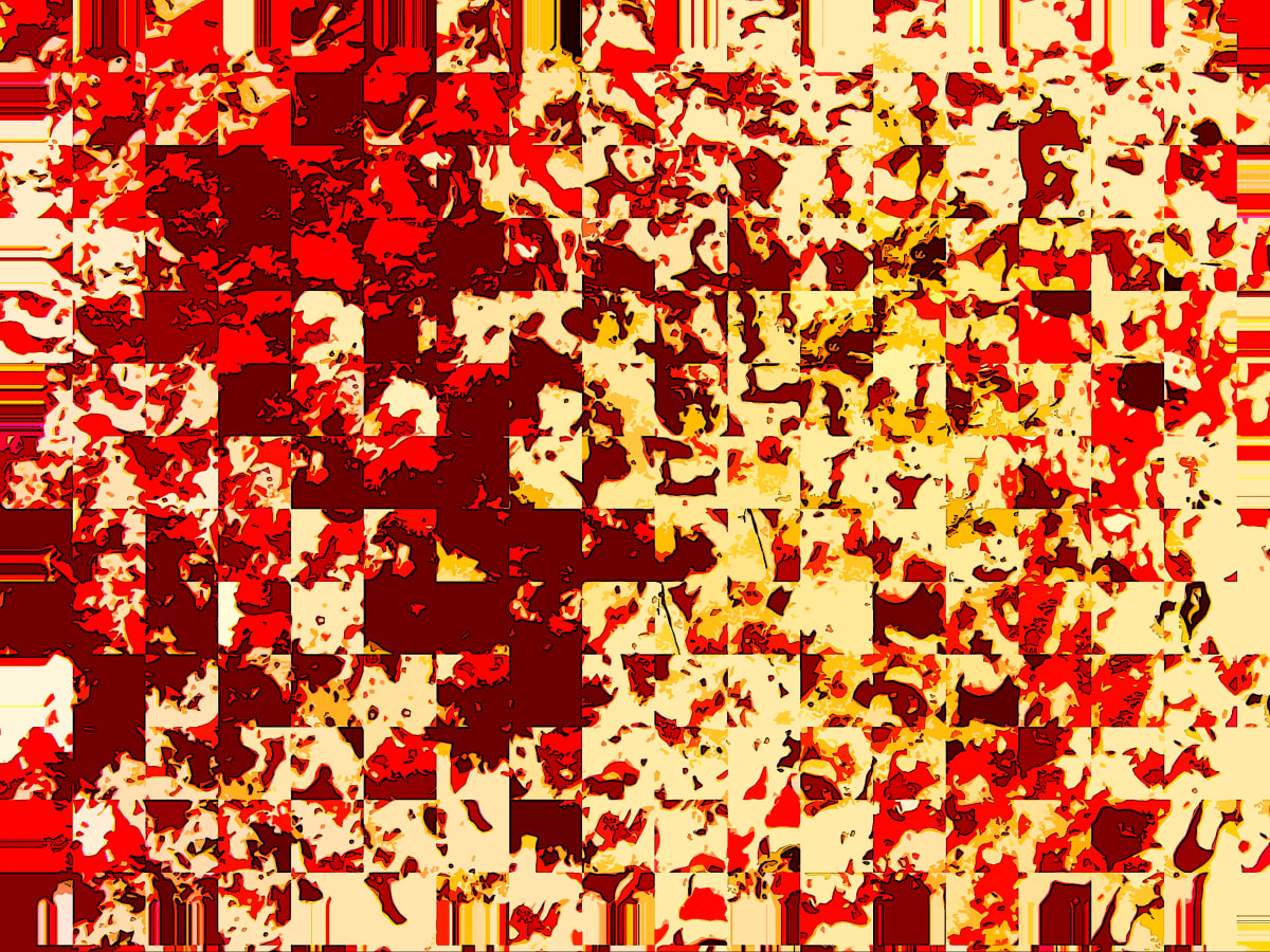 Empty shell, Image 1.