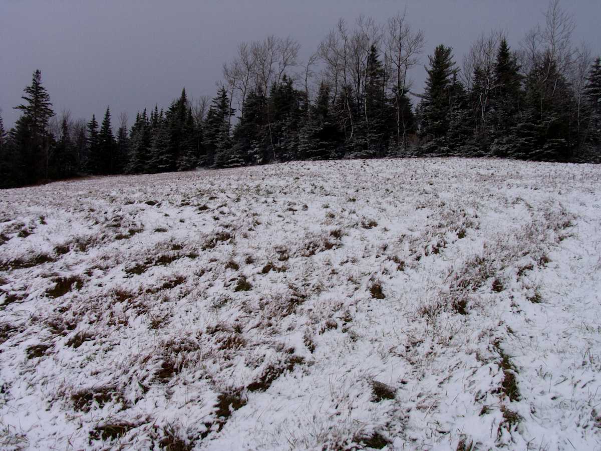 Upper Meadow, Image 1.