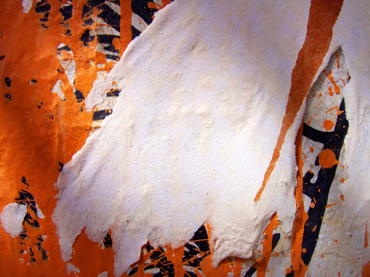 Tiger'sPaw 