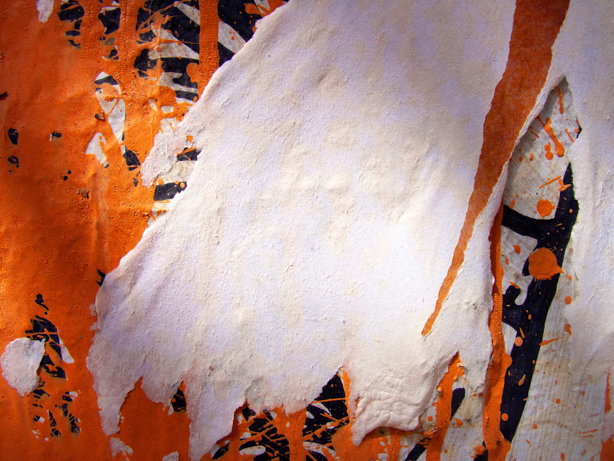Tiger'sPaw, Image 1.