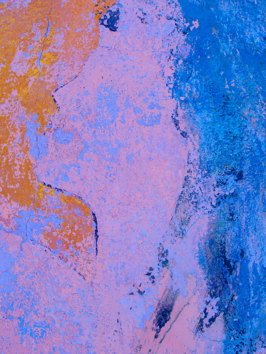 Minerva, Image 1.