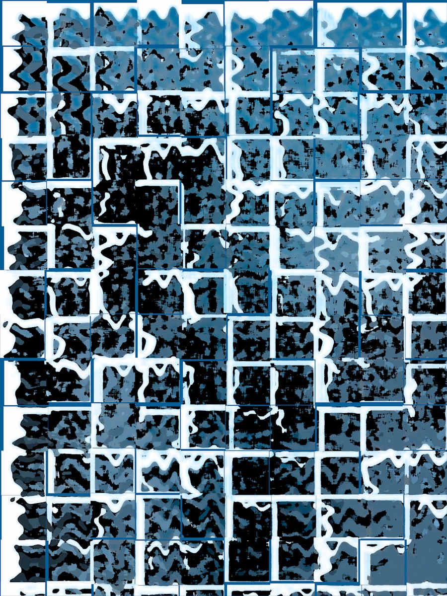 Seagrass, Image 1.