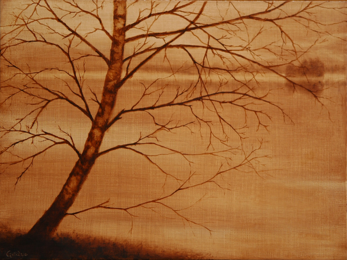 Tree Portrait: Barely There by Christine Gedye 