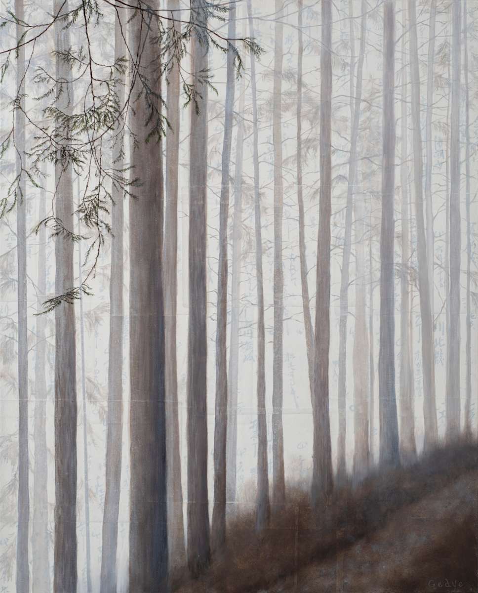 Forest Bathing by Christine Gedye 