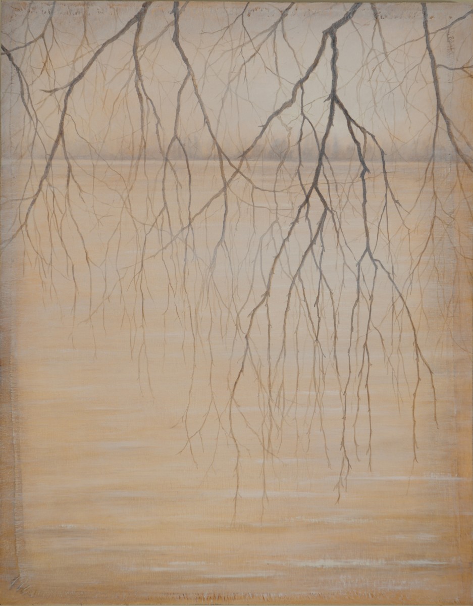 Seeing Through by Christine Gedye 