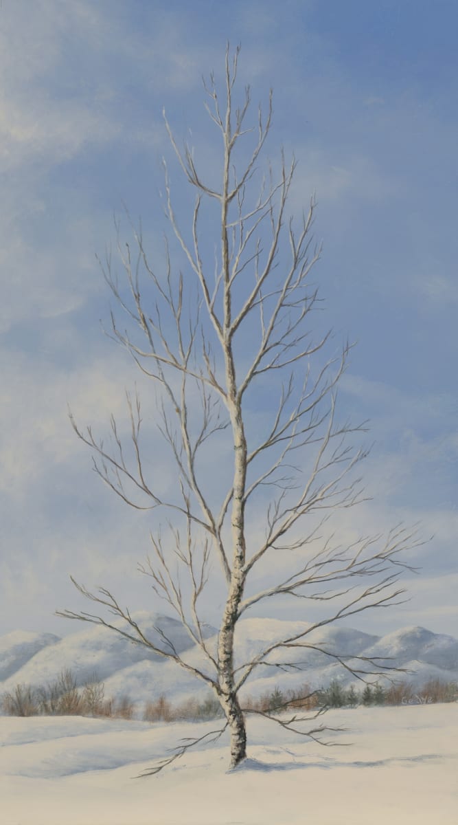 Splendor in Snow by Christine Gedye, Image 1.