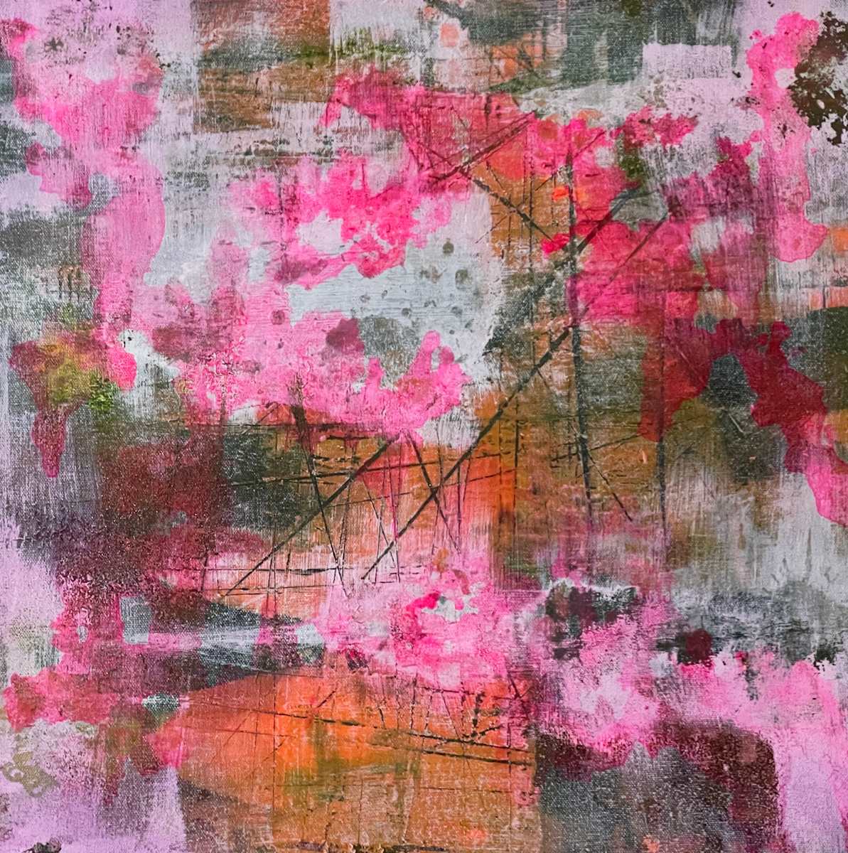 Pink Roses by Will Schmahl 