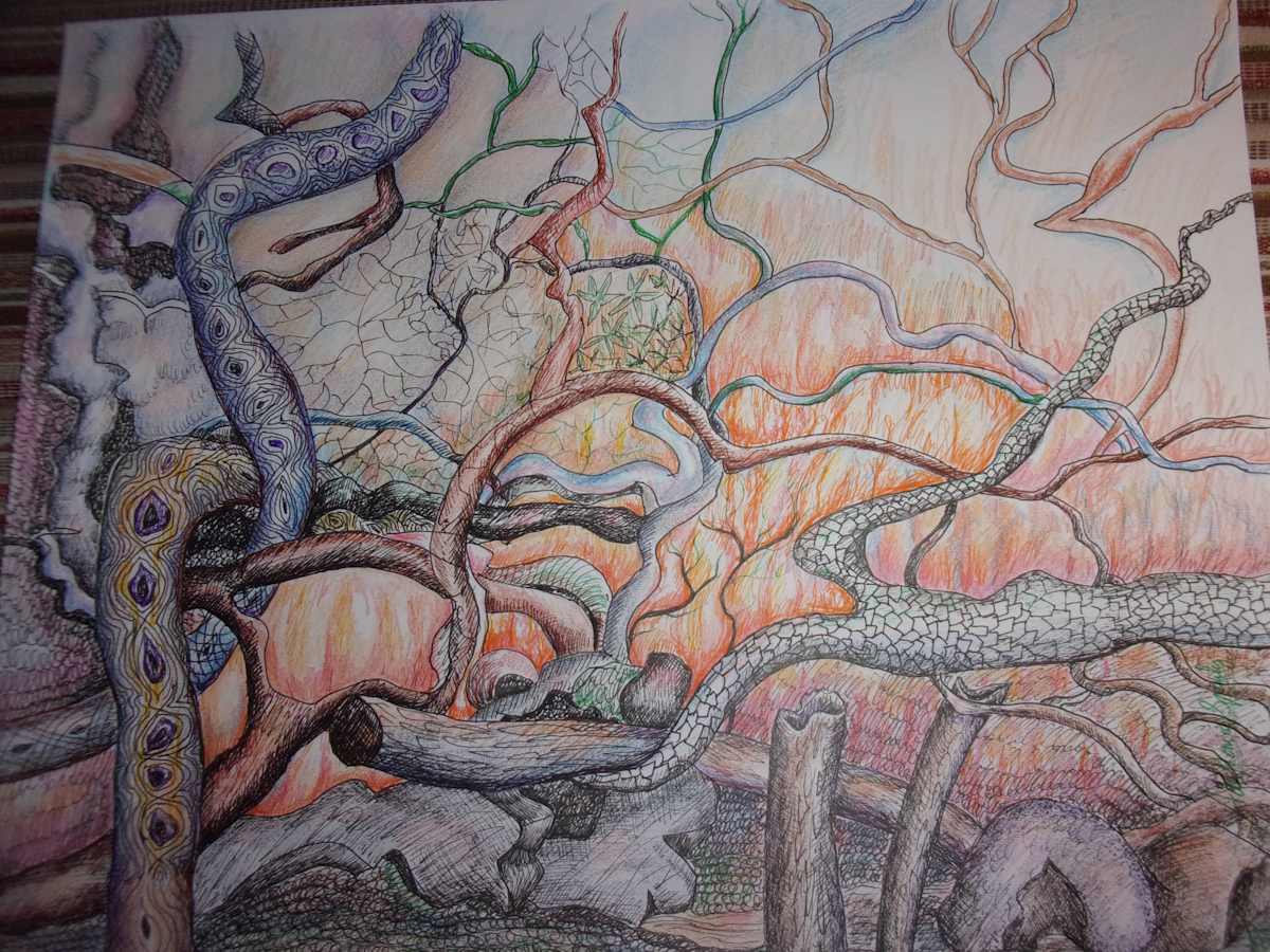 Nature on Fire by Ada Monica Sperling 