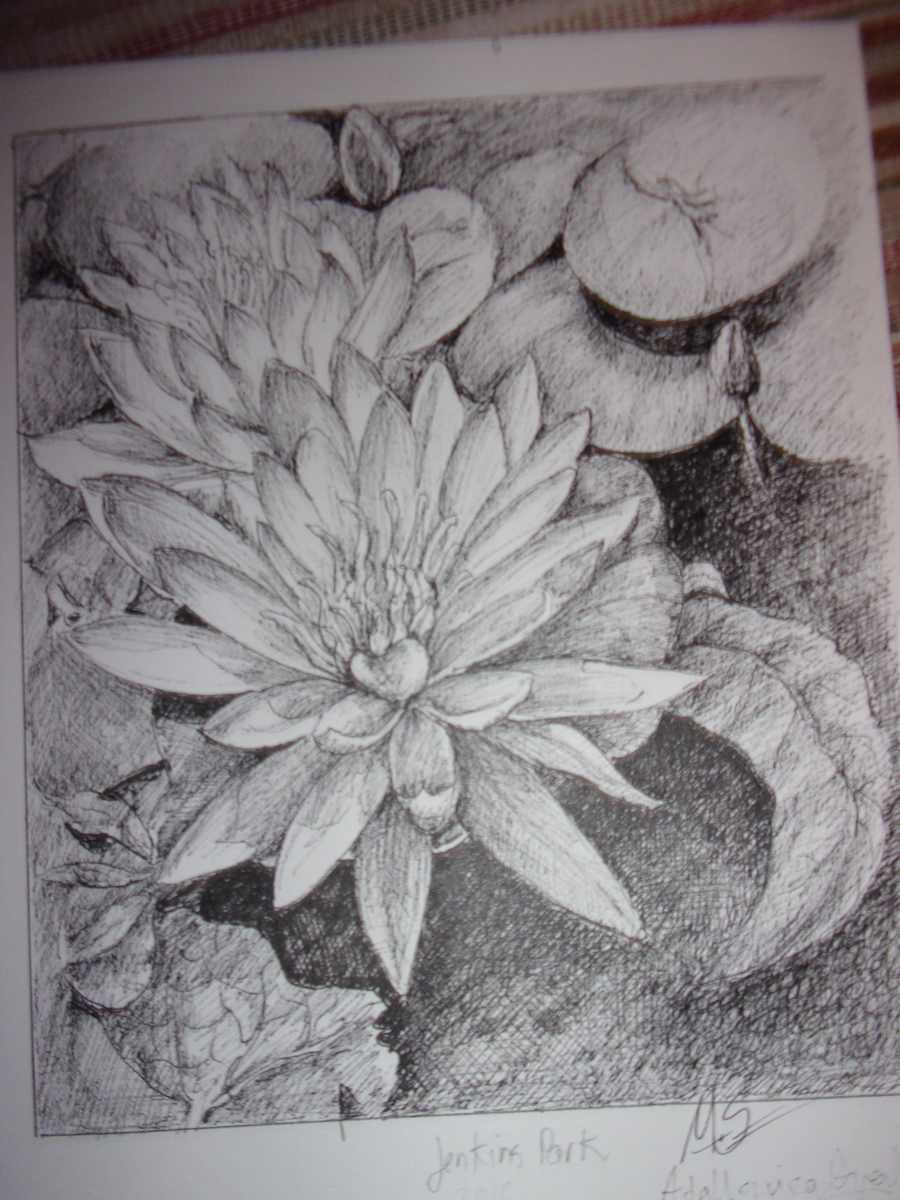 Flowers IV by Ada Monica Sperling 