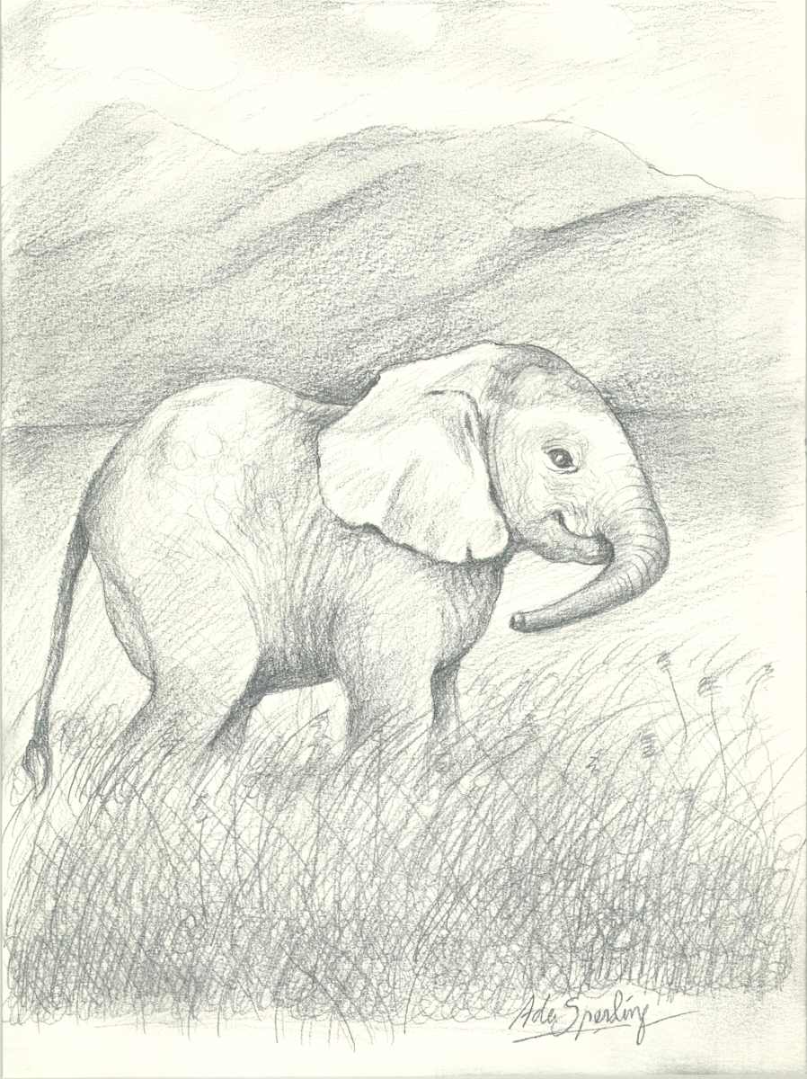 Baby Elephant by Ada Monica Sperling 