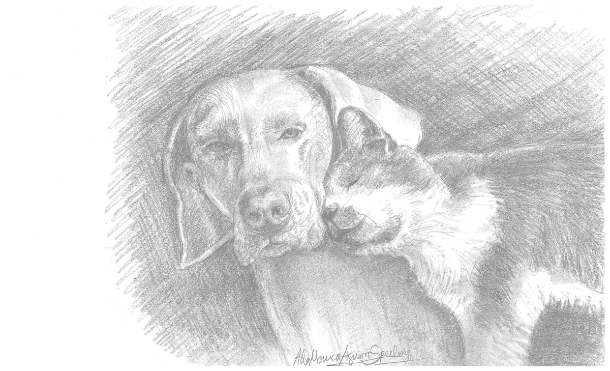 Best Friends Dog and Cat by Ada Monica Sperling 