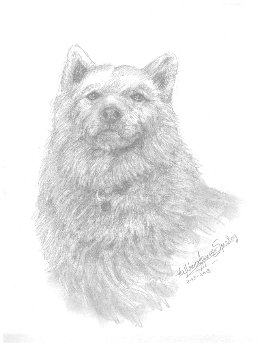 Dog with Collar by Ada Monica Sperling 