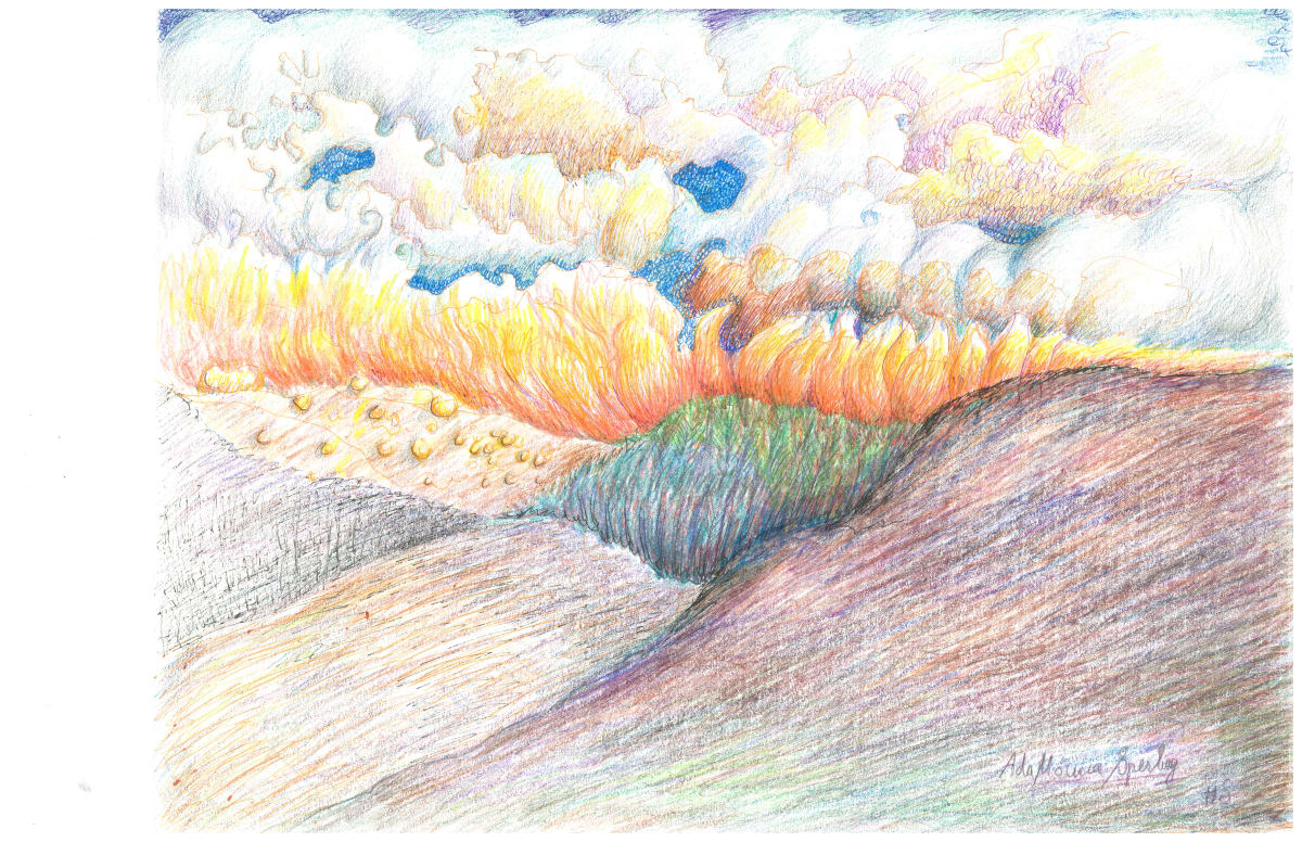 Forest Fire by Ada Monica Sperling 
